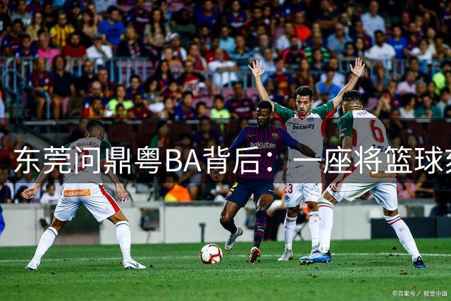 东莞问鼎粤BA背后：一座将篮球刻进DNA的城市