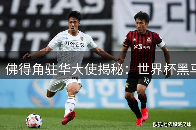 佛得角驻华大使揭秘：世界杯黑马球员的双重人生