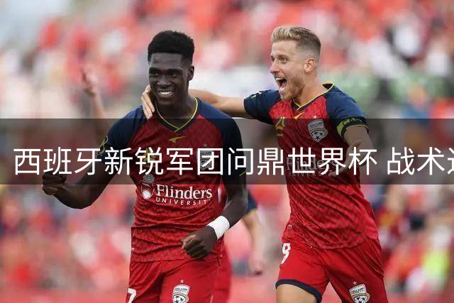 西班牙新锐军团问鼎世界杯 战术进化终结阿根廷卫冕梦